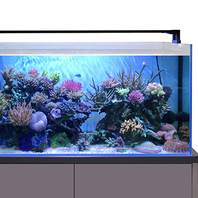 ZENSUI MULTI COLOR LED / ゼンスイ株式会社 | GOOD AQUARIUM Design Award