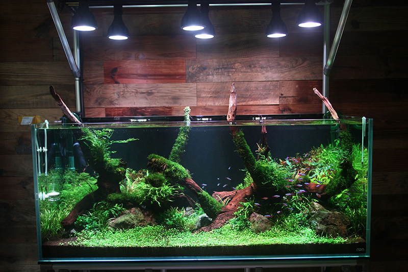 Helios Aqua LED HA-20