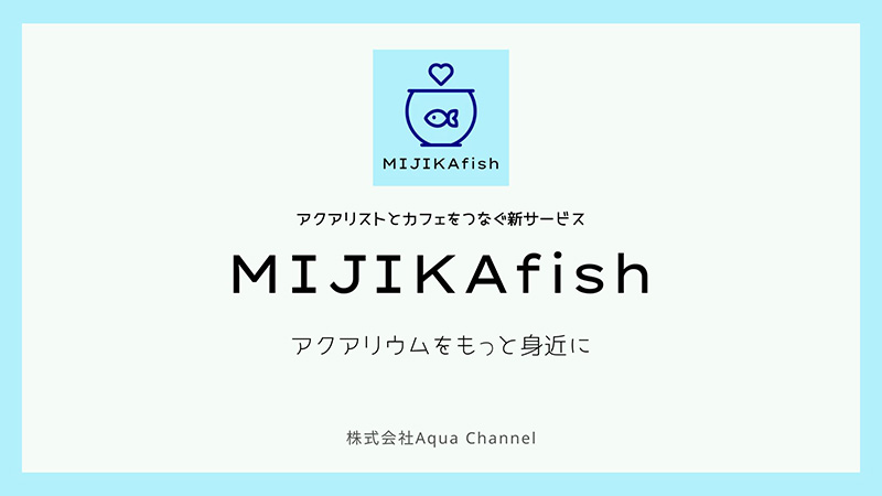 MIJIKAfish